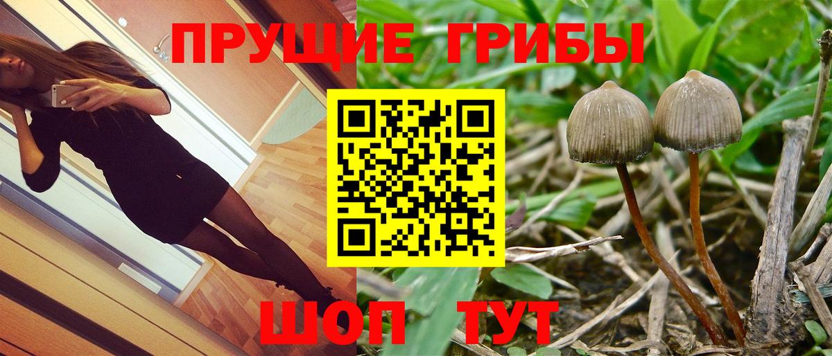Псилоцибиновые грибы GOLDEN TEACHER  Вход с VPN  Качканар 