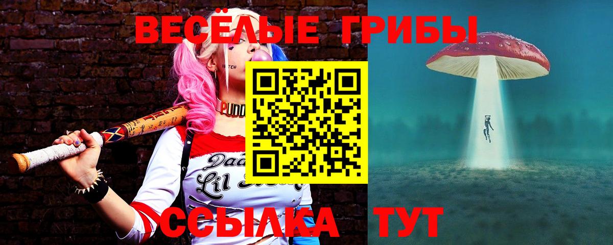 Псилоцибиновые грибы Cubensis Качканар